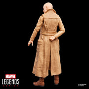 Hasbro Marvel Legends Cassandra Nova 6-Inch Action Figure with Movie-Accurate Design and Accessories G23705X0