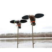 MOJO Outdoors Baby MOJO 2.0 Motorized Mallard Drake and Hen Duck Decoy, 2-Pack
