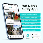 Birdfy Rookie Smart Bird Feeder with Camera, 1080P HD Video, 60FPS Slow-Motion, AI Bird Identification, Full-Color Night Vision, IP66 Waterproof, Eco-Friendly Design