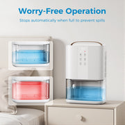 Kloudic Dehumidifier, 90 oz Portable Water Tank, Dual Semiconductor Cooling, Auto Defrost, Washable Filter, Quiet Sleep Mode, Timer, White, DH-CS22
