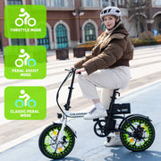 COLORWAY BK35M Folding Electric Bicycles, 16 Inch