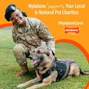 Nylabone Power Chew Baguette Dog Toy, Dog Chew Toy, Roast Chicken Flavor, Large, 1 Count