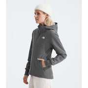 The North Face Shelbe Raschel Hoodie - Smoked Pearl Heather - L