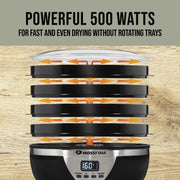 Mossy Oak 75-0701-MO 4 Tray Electric Food Dehydrator with Digital Timer, Adjustable Thermostat, 500 Watts
