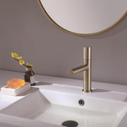 BiaoTeng Single Hole Basin Sink Faucet Hot and Cold Brass, Brushed Gold