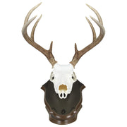 Mountain Mike's Europlaque Desk and Wall Display