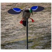 MOJO Outdoors Baby MOJO Motorized Duck Decoy - Drake