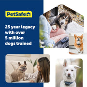 PetSafe Basic Dog Trainer with Remote