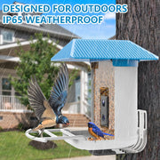 Segmart Smart Bird Feeder with Camera, Solar Powered, AI Identification of 11,000+ Bird Species, 1080P HD Camera, 135 Wide Angle, Night Vision, App Notification