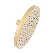 Signature Hardware 476850 1.8 GPM Single Function Rain Shower Head, Brushed Gold