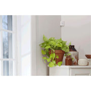 SimpliSafe SSBS3 Base Station BF0056 White