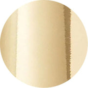 Signature Hardware SHH1010PB 60 MTL Shower Hose, Polished Brass