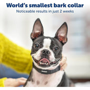 PetSafe NanoBark Bark Control Collar for Small and Medium Dogs, Waterproof, Rechargeable, Lightweight, Low-Profile, 10-Level Static Stimulation, PBC00-17758