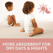 Premium Baby Diapers, Size:7 - 126 ct., 41+ lbs - Premium Quality