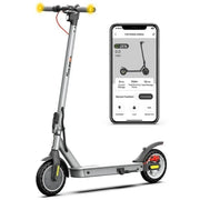 5TH WHEEL W09S 350W Electric Scooter with Turn Signal