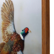 Open Road Brands Pheasant on Framed Acrylic MDF Artwork, Nature-Inspired Home Decor