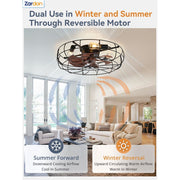 Zardon 23 in Black Caged Ceiling Fan with Lights, Remote Control, Flush Mount, Reversible DC Motor, 6 Speeds, Indoor