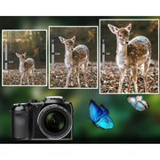 NBD S200-US-CF2 4K 64MP Video Camera with 16X Digital Zoom and 32GB SD Card Black