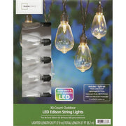 Mainstays 63-376 30-Count Color Changing LED Edison String Lights, 27 ft Length, Multicolor & Warm White
