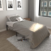 Eavesince Twin XL Platform Bed Frame, Heavy-Duty Alloy Steel, 18 in Height, Black