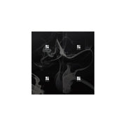 Big Hit Entertainment Wings Vol 2 (Audio CD)