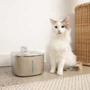 The KittySpout Wireless Fountain,4 Month: Wireless KittySpout + 8 filter sets + free gift