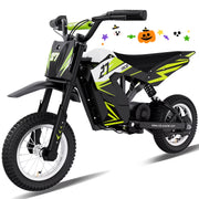 RCB RCB-RX9-3 R9X Electric Dirt Bike, 36V-300W-10Miles, Green