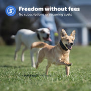 PetSafe Guardian GPS Dog Fence, Advanced AccuGuard Technology, Wireless Virtual Fence, Waterproof Rechargeable Collar, Supports Up to 8 Dogs, Black
