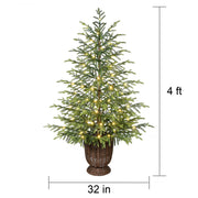 My Texas House 4ft Green Pre-Lit Norfolk Pine Potted Christmas Tree with 100 Warm White Twinkle LED Lights