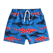 AJIWYH Toddler Beach Swimwear,Boys Swim Trunks, A6-Blue, 12-18 M