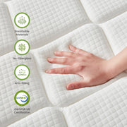 Edx 10 Inch Queen Hybrid Mattress with Individually Pocketed Springs, Memory Foam, Motion Isolation, Breathable Foam, Enhanced Edge Support
