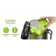 Aeitto SJ-041-2 250W Masticating Juicer, Cold Press with 5.3