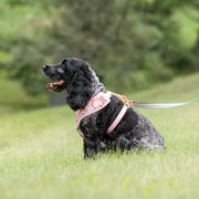 Vibrant Life 80064476 Floral Adjustable Dog Harness, Pink, Medium, Polyester-Spandex Blend, Padded, Secure Prong Buckle, D-Ring Leash Attachment