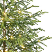 My Texas House 4ft Green Pre-Lit Norfolk Pine Potted Christmas Tree with 100 Warm White Twinkle LED Lights