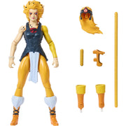MOTU Masters of Universe Origins & ThunderCats Cheetara Action Figure