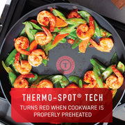 T-fal E111SC64 Platinum Hard Anodized Non-stick 12 Piece Cookware Set