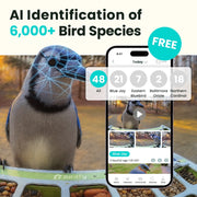 Birdfy Smart Bird Feeder with 1080P HD Camera, Color Night Vision, AI Bird Identification, Solar Powered, Metal Build, Holds 2.5L Seed, Green, 93257
