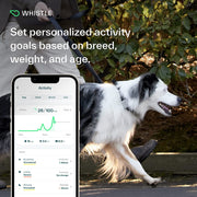 Whistle Switch Smart Collar Kit, GPS Location and Health Tracking, Shadow Black, XS/S for Dogs 5-25 lbs