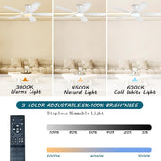 JSAITEE Ceiling Fan with Lights, 52 Inch Low Profile Flush Mount, Black, DC Reversible Motor, 6 Speeds, Remote Control, Dimmable LED Light SY66-Black
