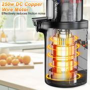 Cikuci 001 Slow Masticating Juicer, Cold Press Juicer Machines, Professional Slow Juicer for Fruits and Vegetables