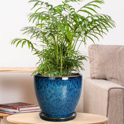Ordivic 8 Inch Blue Ceramic Planter with Reactive Glaze, Drainage Hole, and Matching Saucer