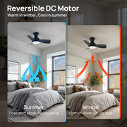 Consciot 30-Inch Flush Mount Ceiling Fan with Dimmable 3-Color LED Light, Remote Control, 6 Speeds, Reversible Quiet DC Motor, Black, CL17004-B-WM