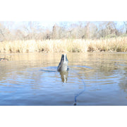 MOJO Outdoors Hw2554 Dabbler Motorized Feeding Duck Decoy