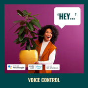 WiZ Connected A19 Tunable White LED Light Bulb, 60W Equivalent, 800 Lumens, Dimmable, E26 Base, Indoor, 1 Pack