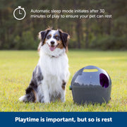 PetSafe Automatic Ball Launcher Dog Toy, Adjustable Distance and Angle, Water-Resistant, Includes 2 Tennis Balls, PTY00-14665