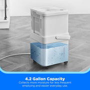 Midea Cube 35 Pint Dehumidifier, Smart Wi-Fi Control, Voice Compatible, 4.2 Gallon Tank, Continuous Drain Hose, White, MAD35S1QWT-A