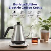 Mecity LCD Display 1200W Quick Heating Electric Kettle, Silver - BPA Free Plastic