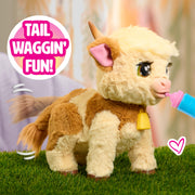 Just Play FurReal Maggie Feed & Follow Cow, 11 Inch Interactive Plush Mini Highland Cow, Reddish-Orange with Blue Collar