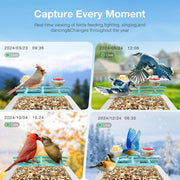 isYoung Smart Bird Feeder with Camera, AI Identification of 16000+ Birds, 5W Solar Panel, 170 Wide View, Motion Detection, Waterproof, Blue
