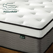 Zinus MSSPKT-14K 14 Inch Pocket Coil Euro Top Hybrid Mattress, King